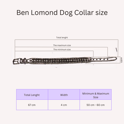 Leather Dog Collar With a Handle