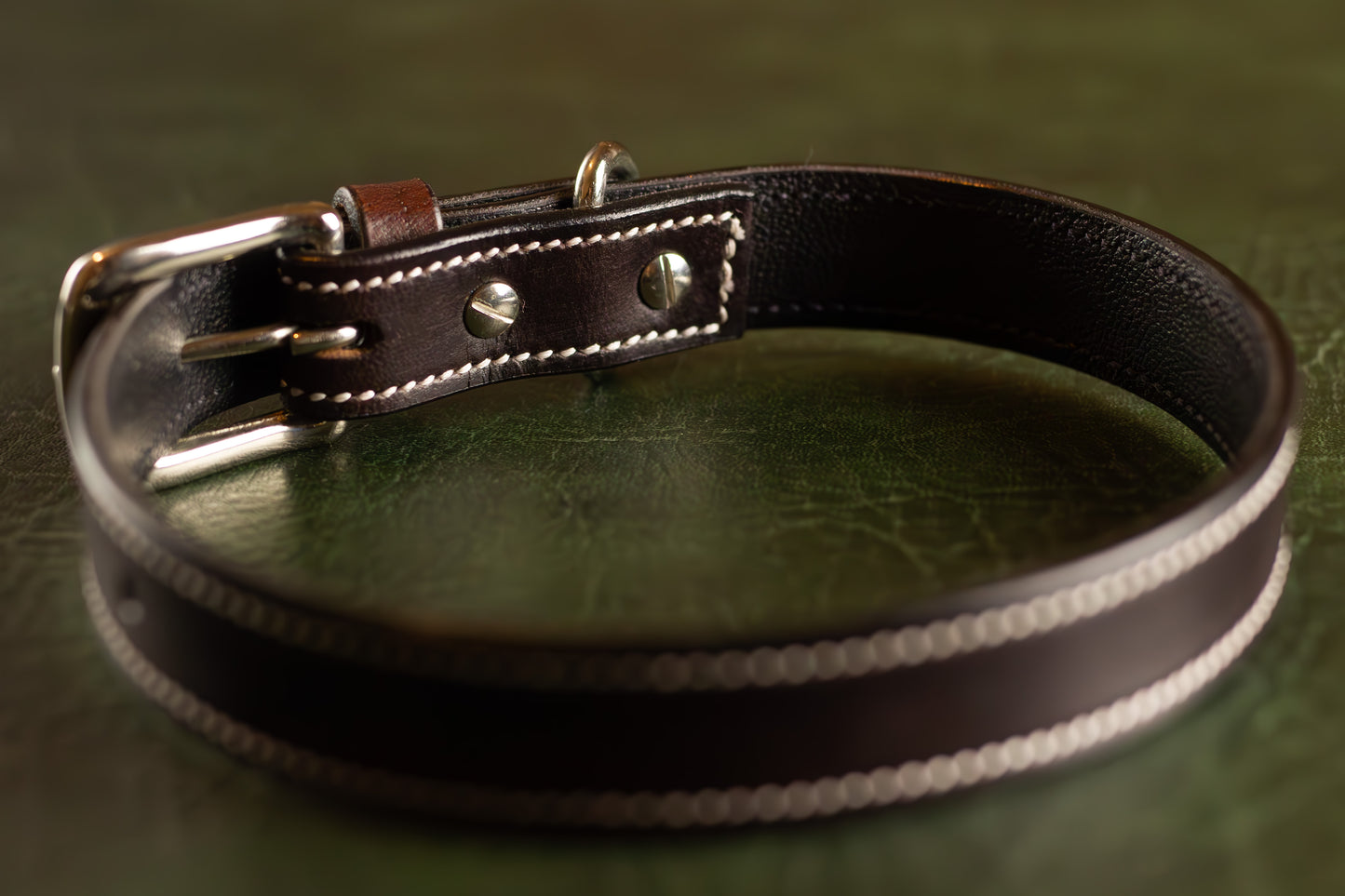 Elegant Slim Dog Collar