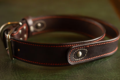 Leather Dog Collar With a Handle