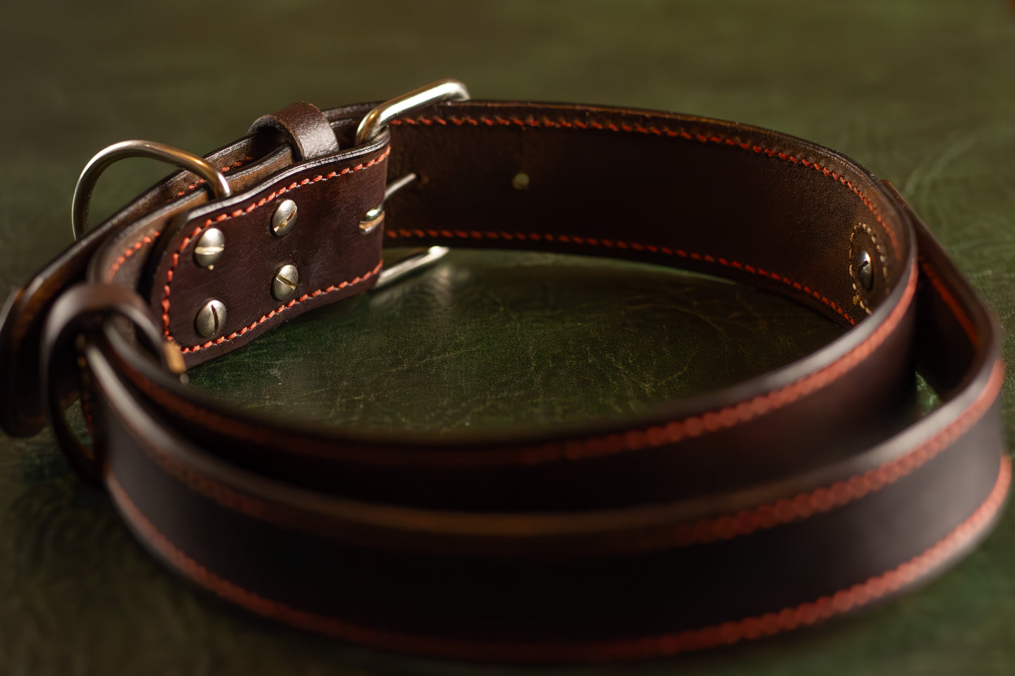 Leather Dog Collar With a Handle