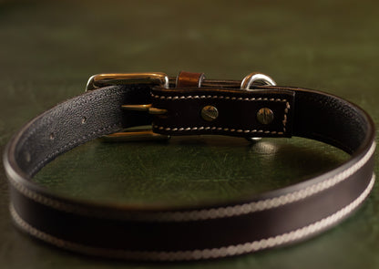 Elegant Slim Dog Collar