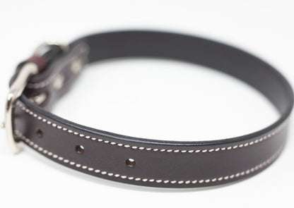 Elegant Slim Dog Collar