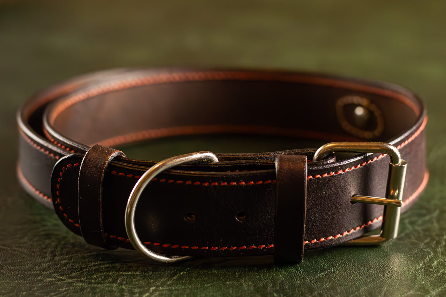 Leather Dog Collar With a Handle