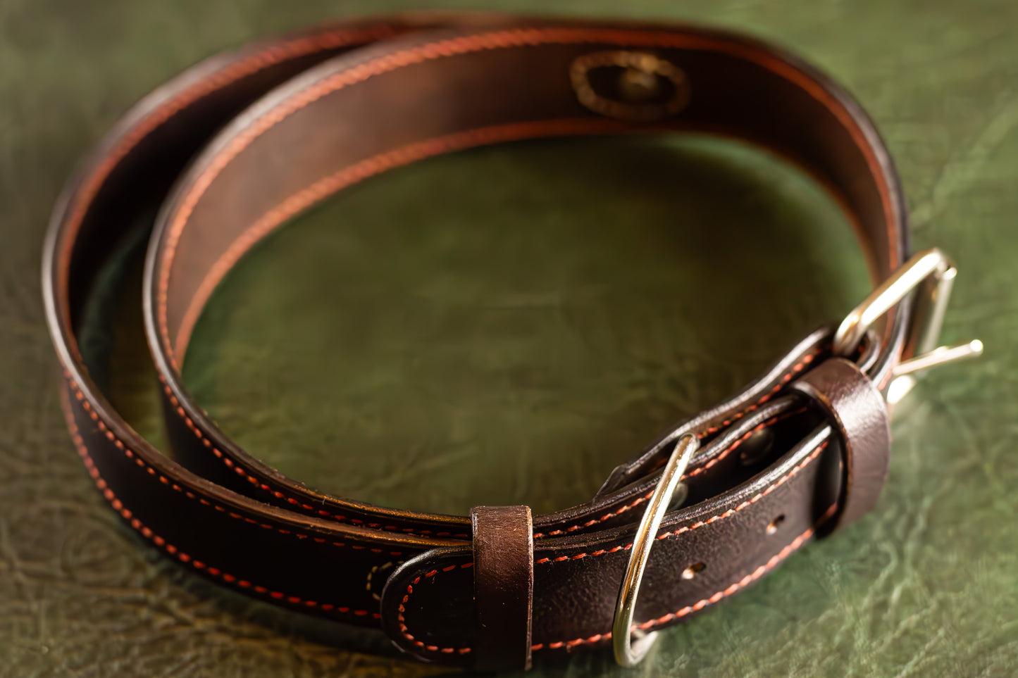 Leather Dog Collar With a Handle