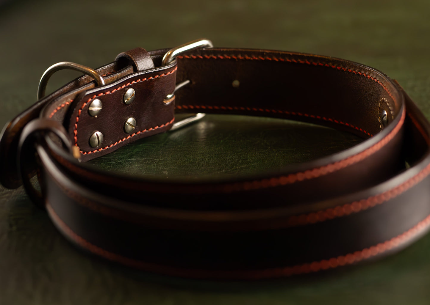 Leather Dog Collar With a Handle