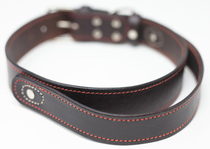 Leather Dog Collar With a Handle